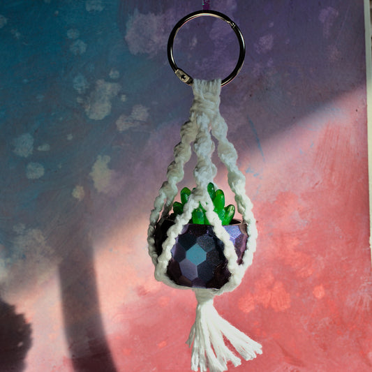 Potted Succulent w/ Hanger- Green (Blue, Orange Glitter), Blue-Purple Color Shift