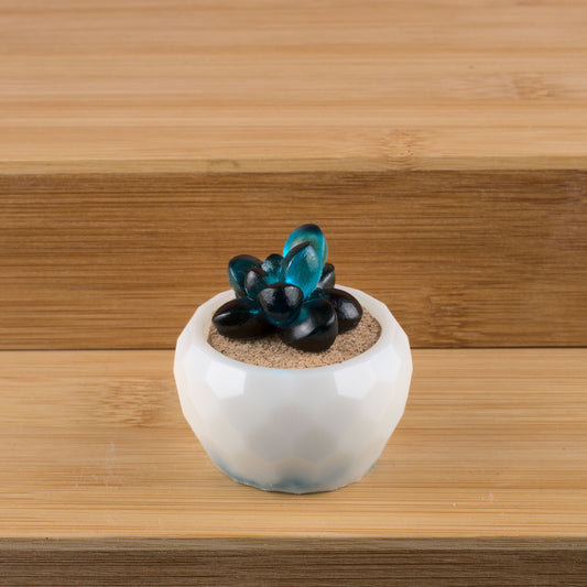 Potted Succulent w/ Hanger- Blue-Black, White, Light Blue Accent