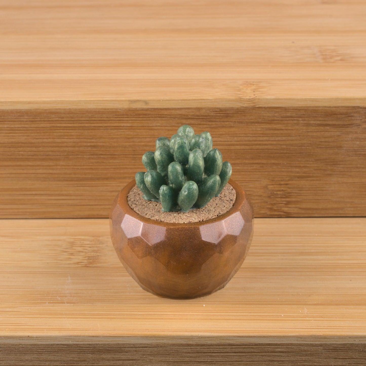 Potted Succulent w/ Hanger- Translucent Brown, Green