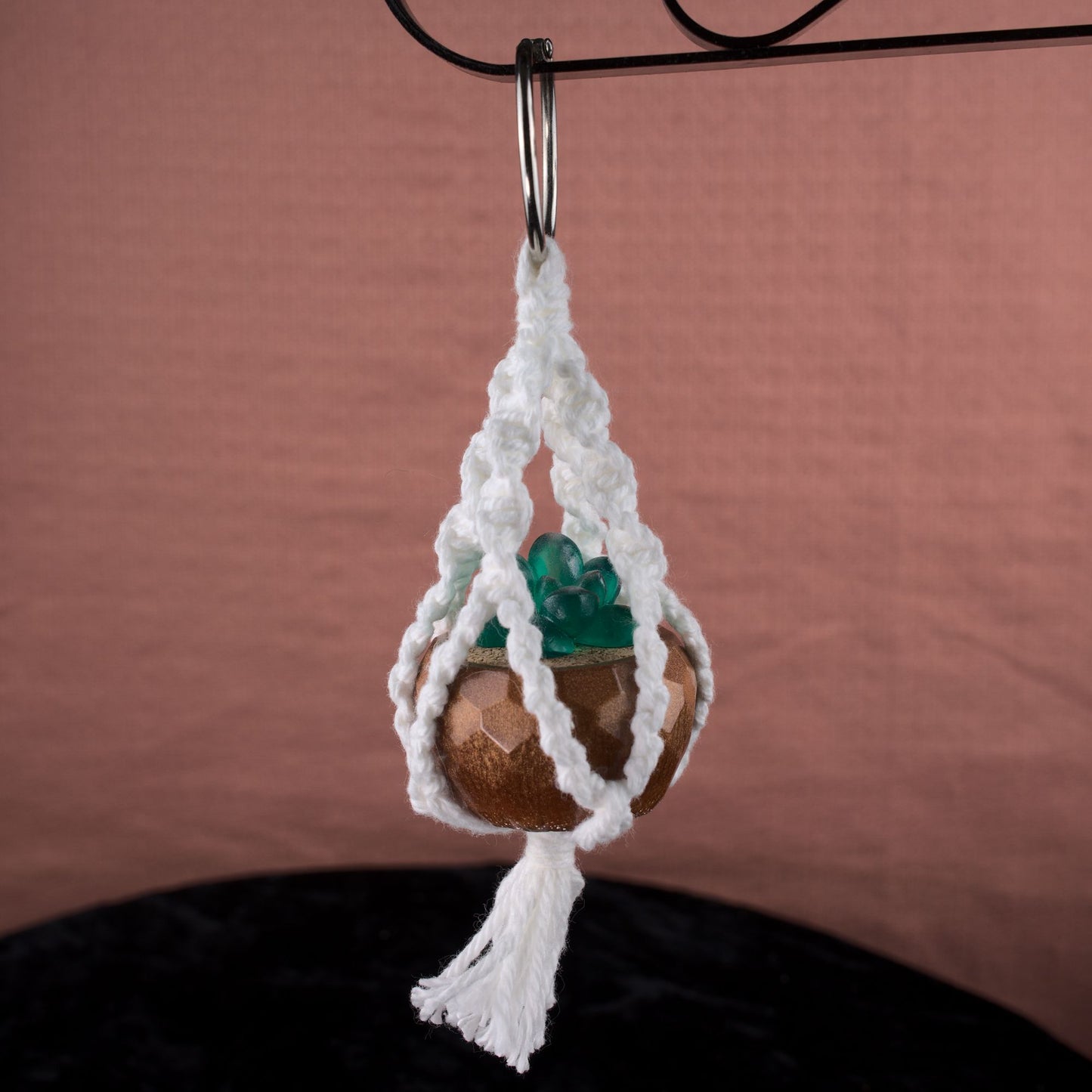 Potted Succulent w/ Hanger- Brown, Frosted Green