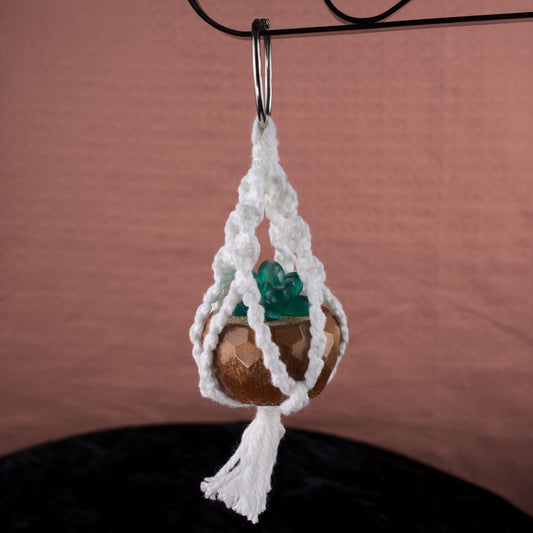 Potted Succulent w/ Hanger- Brown, Frosted Green