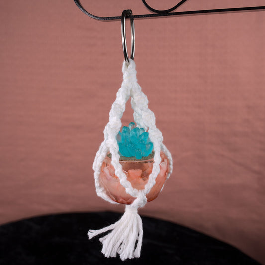 Potted Succulent w/ Hanger- Blue, Orange Clouds