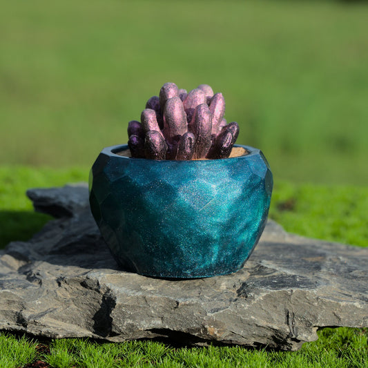 Potted Succulent w/ Hanger- Blue, Purple