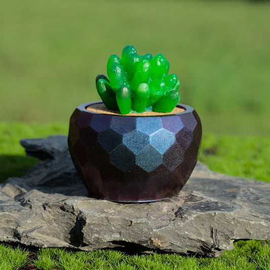 Potted Succulent w/ Hanger- Green (Blue, Orange Glitter), Blue-Purple Color Shift
