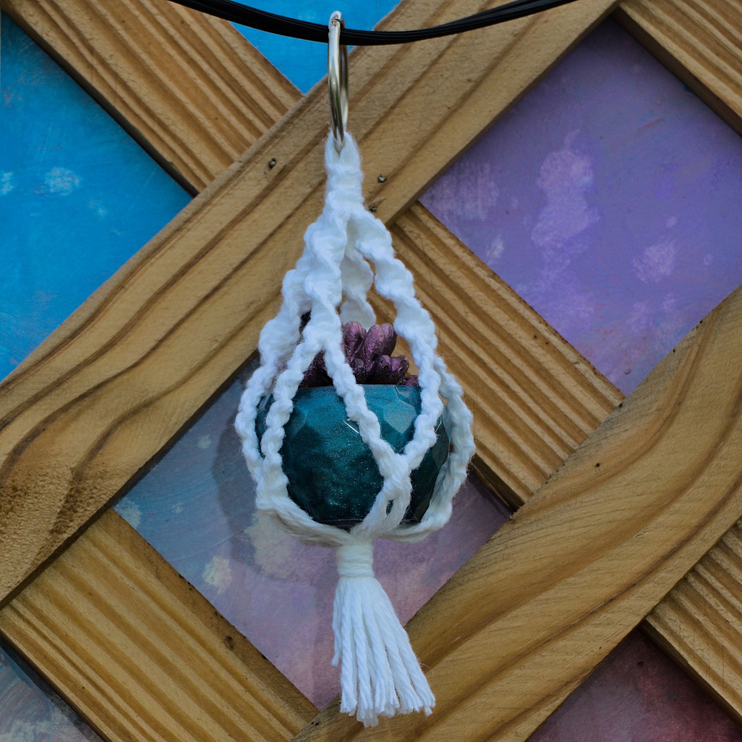 Potted Succulent w/ Hanger- Blue, Purple