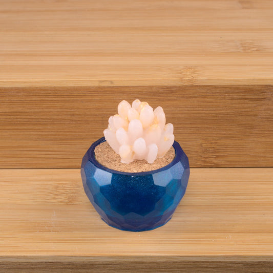 Potted Succulent w/ Hanger- Blue, White/Gold