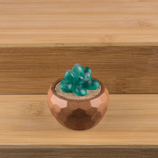 Potted Succulent w/ Hanger- Brown, Frosted Green