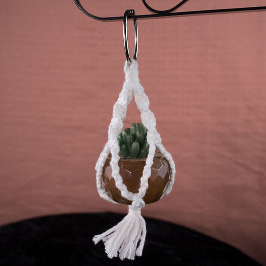 Potted Succulent w/ Hanger- Translucent Brown, Green