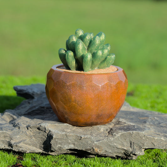 Potted Succulent w/ Hanger- Translucent Brown, Green